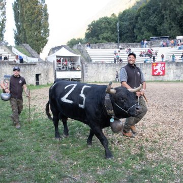 PHOTOVAL©_FDV_WEB_NH__9832